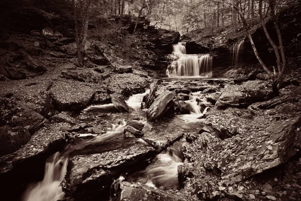 Vodopády Lesích Černé Bílé — Stock fotografie