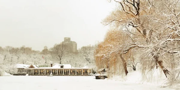Central Park Panorama Vintern Midtown Manhattan New York City — Stockfoto