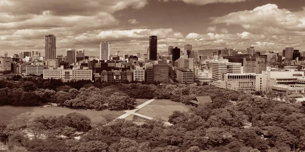 Вид Дах Міського Парку Осака Японія — стокове фото