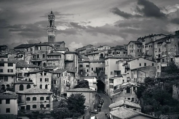 Středověké Město Siena Panorama Historickými Budovami Radnicí Zvonice Itálii — Stock fotografie