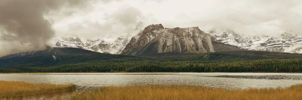山和森林全景在弓湖雾在加拿大班夫国家公园 — 图库照片