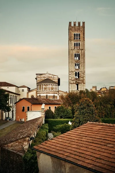 Basiliek Van San Frediano Lucca Met Historische Gebouwen Schemering Italië — Stockfoto