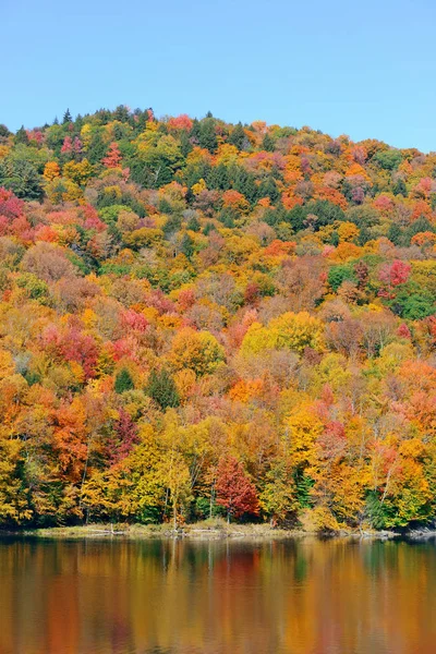 Озеро Осенней Листвы Гор Новой Англии Стоу — стоковое фото