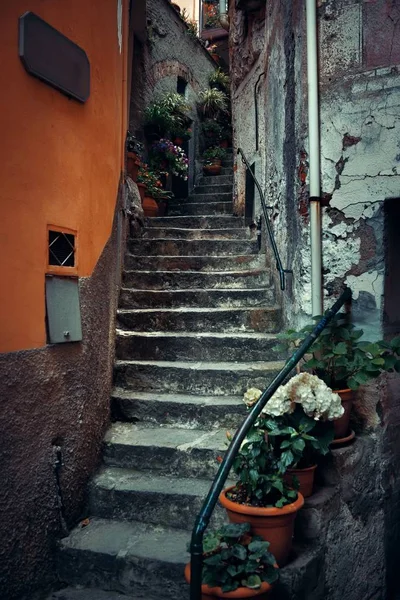 Typisch Steegje Uitzicht Riomaggiore Cinque Terre Italië — Stockfoto