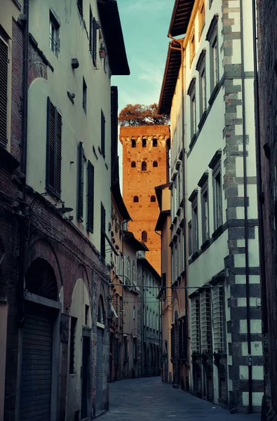 Lucca Street View Mit Torre Alberata Italien — Stockfoto