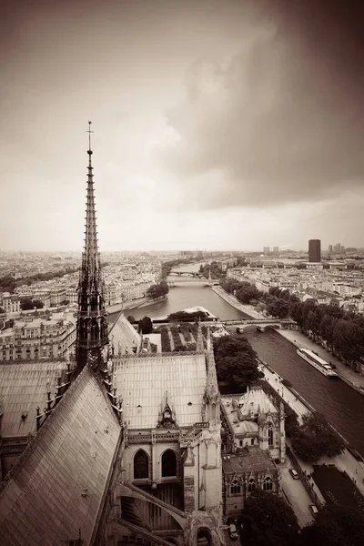 Blick Von Der Kathedrale Notre Dame Auf Das Dach Von — Stockfoto