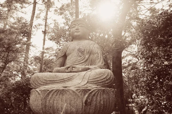 Estatua Buda Santuario Con Edificio Histórico Kyoto Japón — Foto de Stock