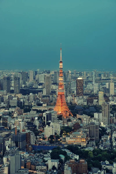 Tokyo Tower Urban Skyline Rooftop View Night Japan — Stock Photo, Image