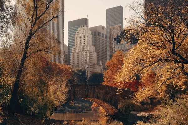 Manhattan Central Park Mit Brücke Und Wolkenkratzer Herbst New York — Stockfoto