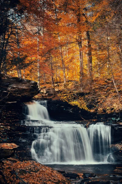 Herbstliche Wasserfälle Park Mit Buntem Laub — Stockfoto