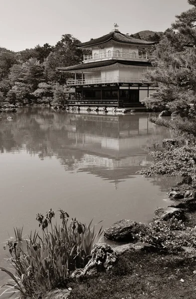 Храм Кинкаку Дзи Историческим Зданием Киото Япония — стоковое фото