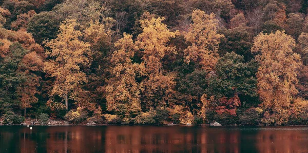 Herbst Buntes Laub Mit See Reflexion Panorama — Stockfoto