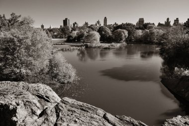 Central Park Sonbaharı ve şehir merkezi Manhattan 'daki göl üzerinde ufuk çizgisi