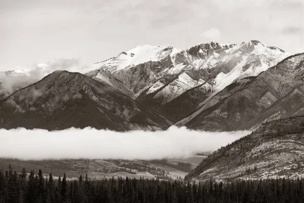 Belle Scène Dans Parc National Jasper Canada — Photo