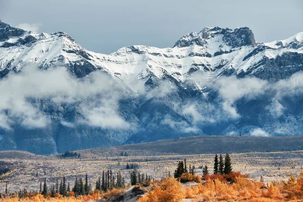 Schöne Herbstblätter Jasper Nationalpark Kanada — Stockfoto