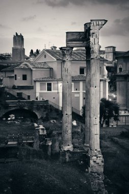 Roma Forumu 'nda antik mimarinin kalıntıları var. İtalya.