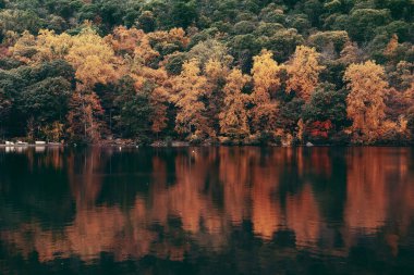 Göl yansımalı sonbahar yeşilliği.