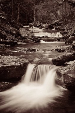 Ormandaki şelaleler siyah beyaz.