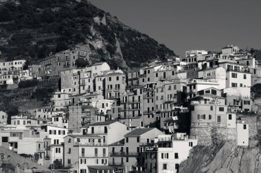 İtalya 'nın Cinque Terre kentindeki Manarola uçurumunda İtalyan tarzı yerleşik binalar..