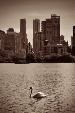 Vancouver şehrinin ufuk çizgisi Stanley Park 'tan görülüyor.