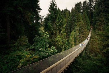 Vancouver, Kanada 'daki Capilano Askı Köprüsü.