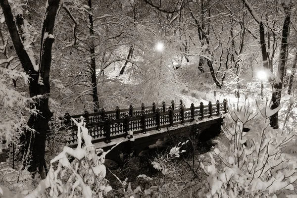 Central Park Zimą Most Midtown Manhattan Nowy Jork — Zdjęcie stockowe