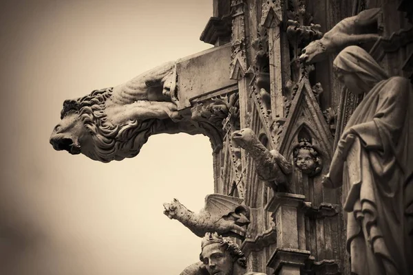 Siena Catedral Gárgola Primer Plano Como Famoso Hito Ciudad Medieval — Foto de Stock