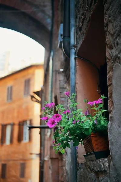 Вид Улицу Старыми Зданиями Аркой Сиене Италия — стоковое фото