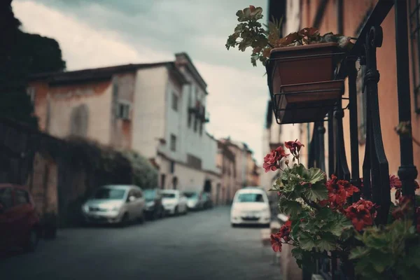Вид Улицу Лукка Цветами Италии — стоковое фото