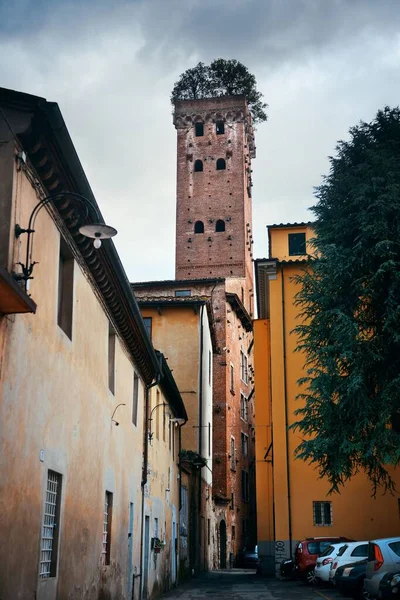 Vista Rua Lucca Com Torre Alberata Itália — Fotografia de Stock