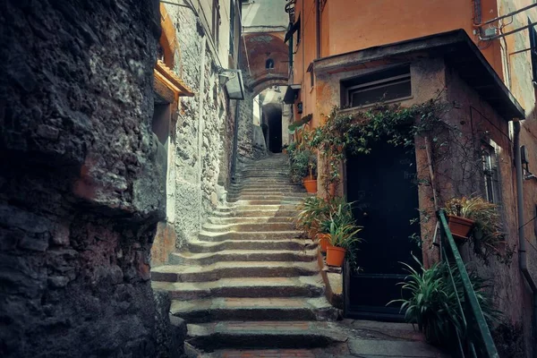 Típica Vista Callejón Riomaggiore Cinque Terre Italia — Foto de Stock