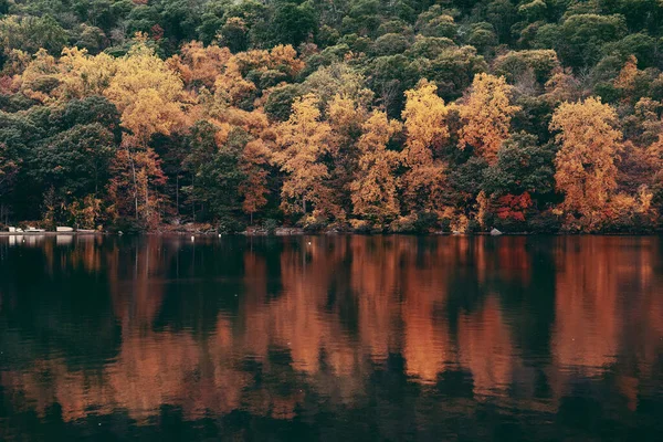 Herbst Buntes Laub Mit Seespiegelung — Stockfoto