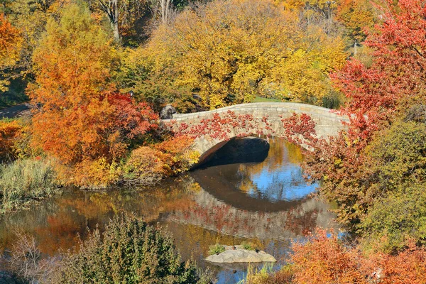 Manhattan Central Park Com Ponte Arranha Céus Outono Nova York — Fotografia de Stock