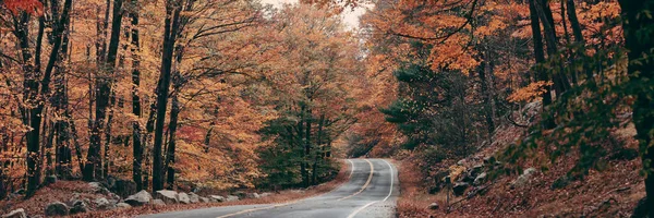 Hösten Färgglada Lövverk Och Naturliga Landskap Panorama — Stockfoto