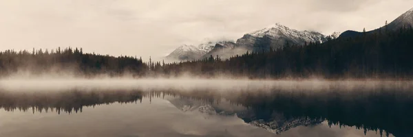 Panorama Lac Herbert Par Une Matinée Brumeuse Avec Glaciers Reflet — Photo