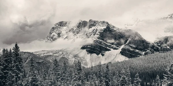 バンフ国立公園の雪の山と森をかぶった湖のパノラマを弓 — ストック写真