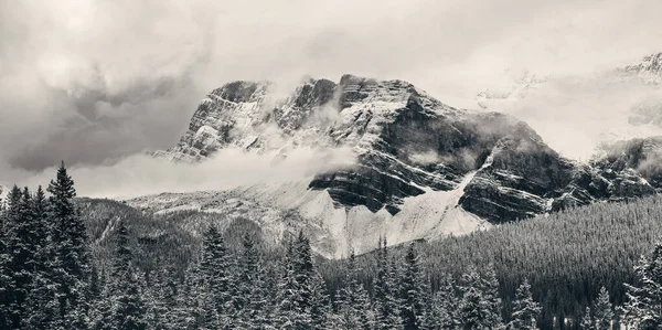 Panorama Lago Bow Com Neve Tampada Montanha Floresta Parque Nacional — Fotografia de Stock