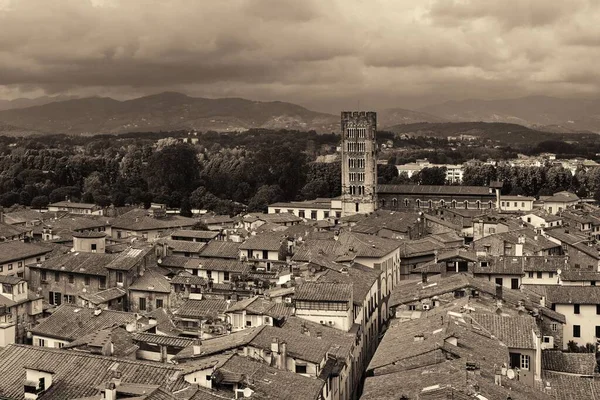 Skyline Lucca Com Torre Catedral Itália — Fotografia de Stock