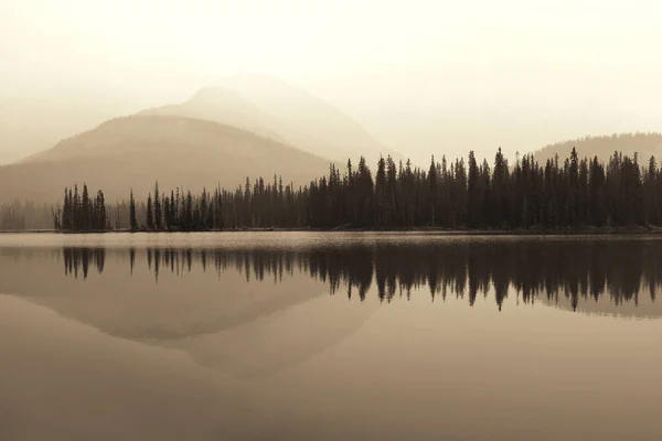 Гора Ліс Над Озером Відображеннями Туманний День — стокове фото