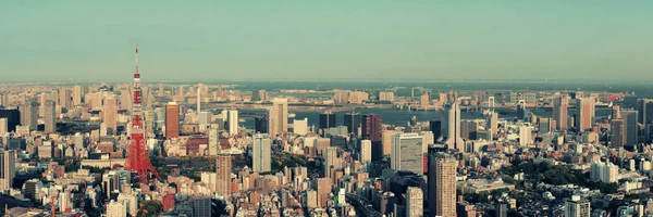 Tokyo Urban Skyline Taket Solnedgången Japan — Stockfoto