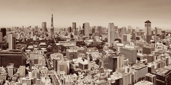 Torre Tóquio Vista Telhado Skyline Urbano Japão — Fotografia de Stock