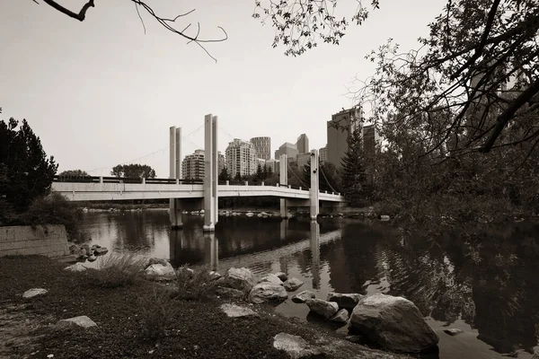 Calgary Cityscape Prince Island Альберті Канада — стокове фото