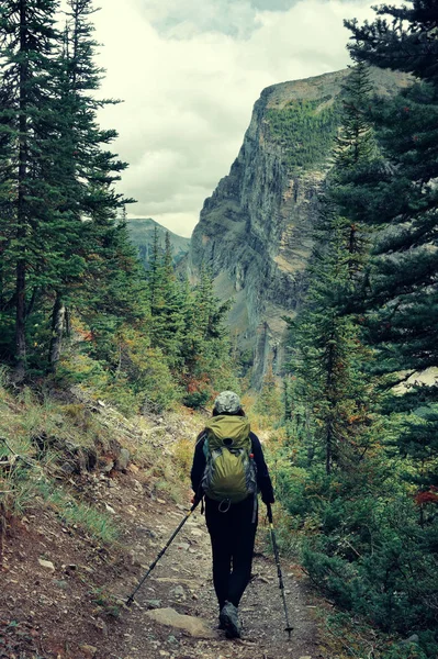 Egy Női Túrázó Banff Nemzeti Park Kilátás Hegyek Erdők Kanadában — Stock Fotó