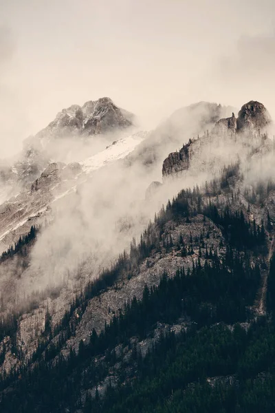 Banff Nemzeti Park Ködös Hegyek Erdők Kanadában — Stock Fotó