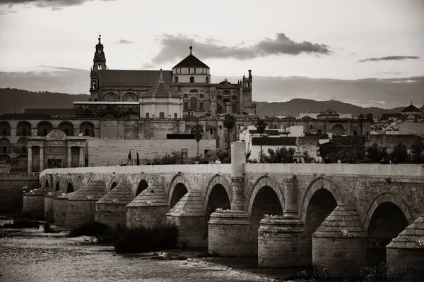 Moschee Kathedrale Alte Brücke Und Stadtsilhouette Von Córdoba Spanien — Stockfoto