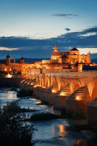 Moschea Cattedrale Antico Ponte Skyline Della Città Cordova Notte Spagna — Foto Stock