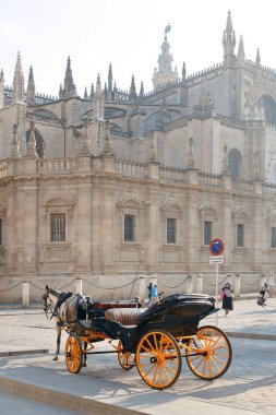 İspanya 'da Seville Katedrali ve at arabasıyla Seville caddesi manzarası