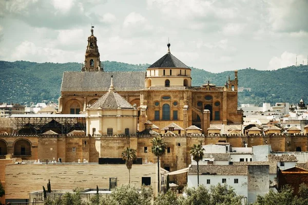 Moskee Kathedraal Oude Brug Skyline Van Cordoba Spanje — Stockfoto