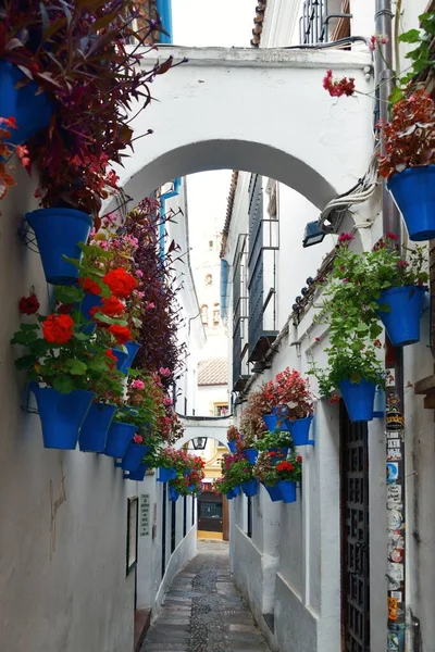 Hermosa Decoración Floral Casa Residente Córdoba España — Foto de Stock