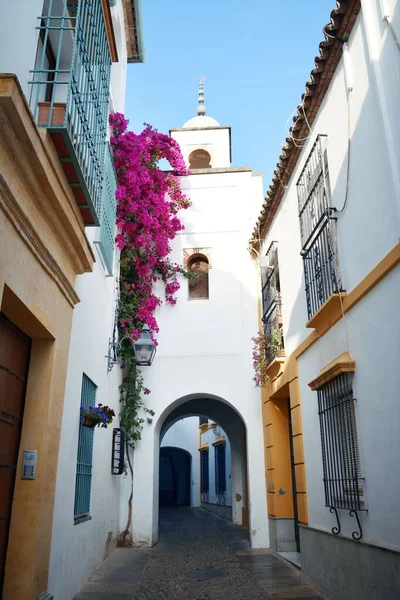 Hermosa Decoración Floral Casa Residente Córdoba España — Foto de Stock